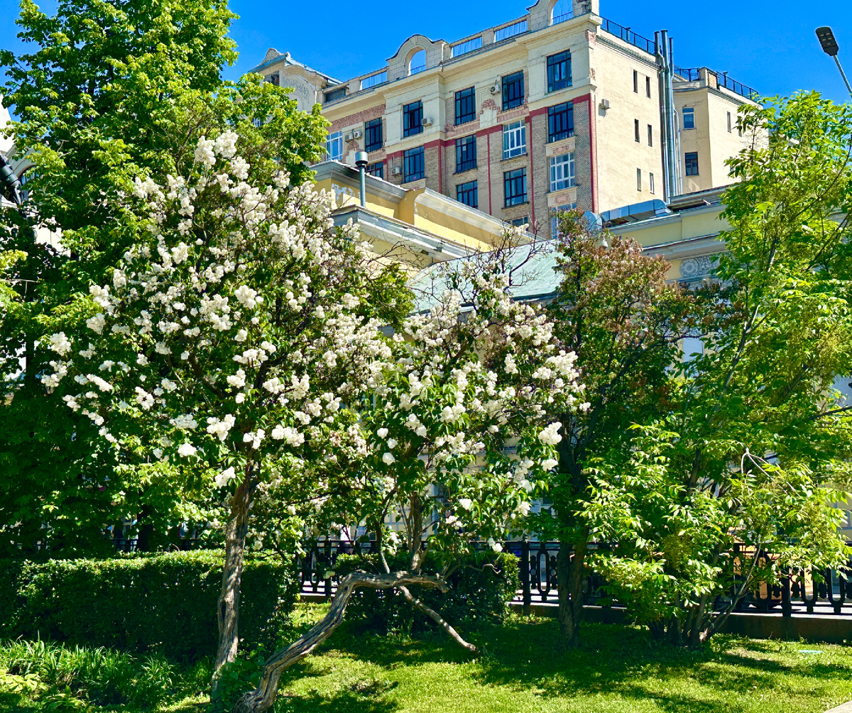 Фотография сделана автором канала