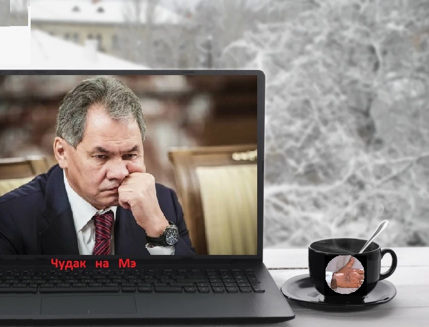 "Птичку жалко!" Фотомонтаж автора