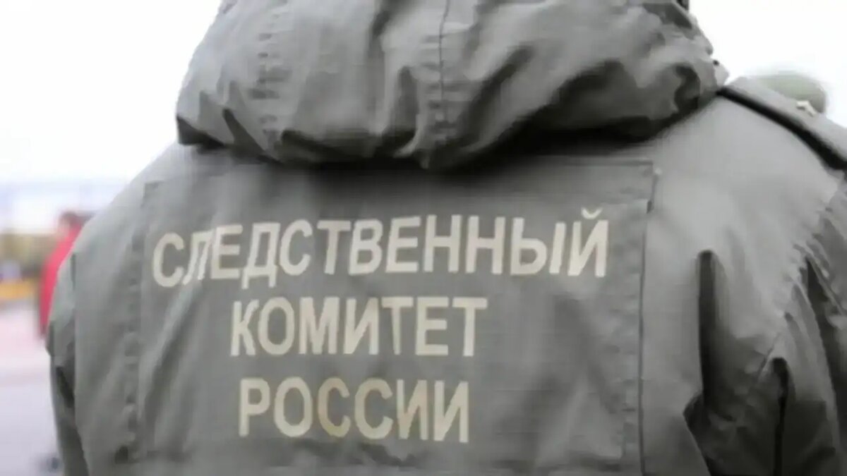    Следственный комитет России.