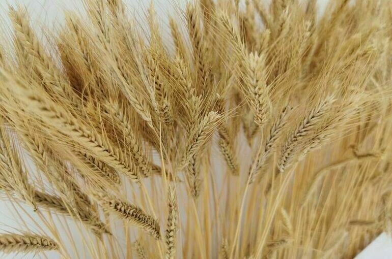   Игорь Самохвалов/ПГ