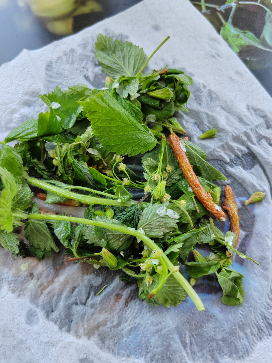 Набор трав для сурицы