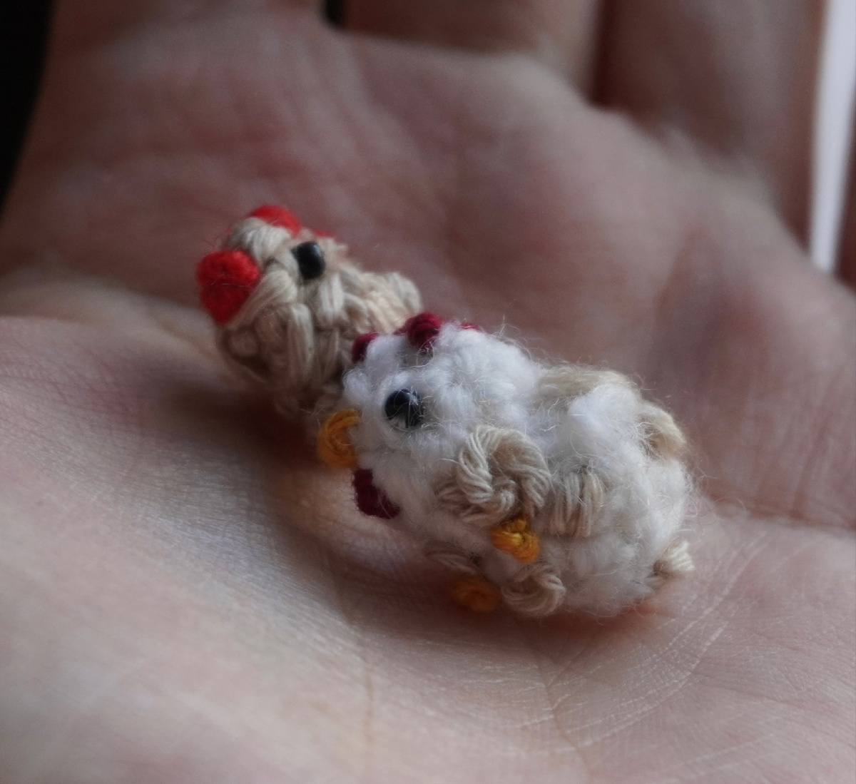 Курочки-петушки