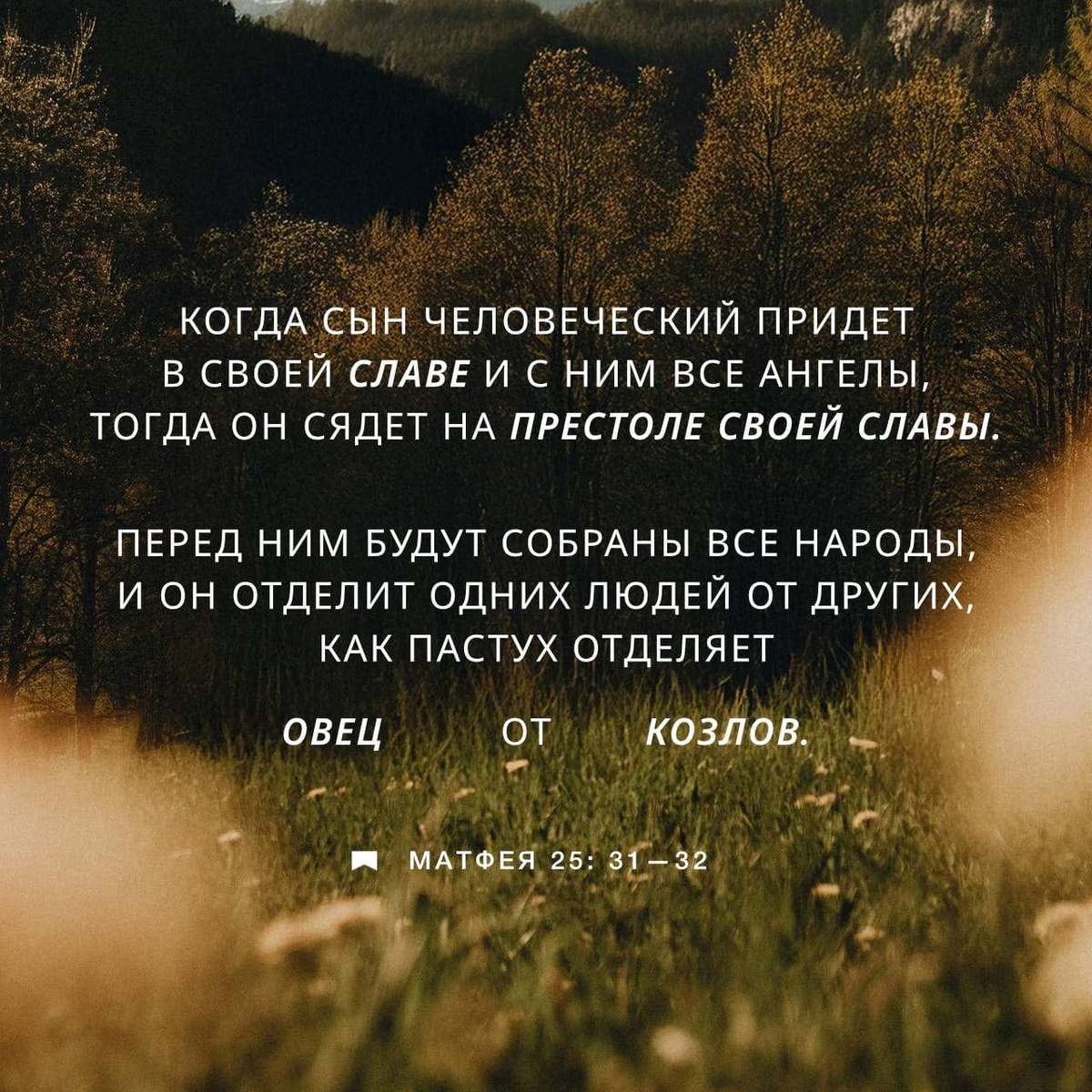 Матфея 25:31–32