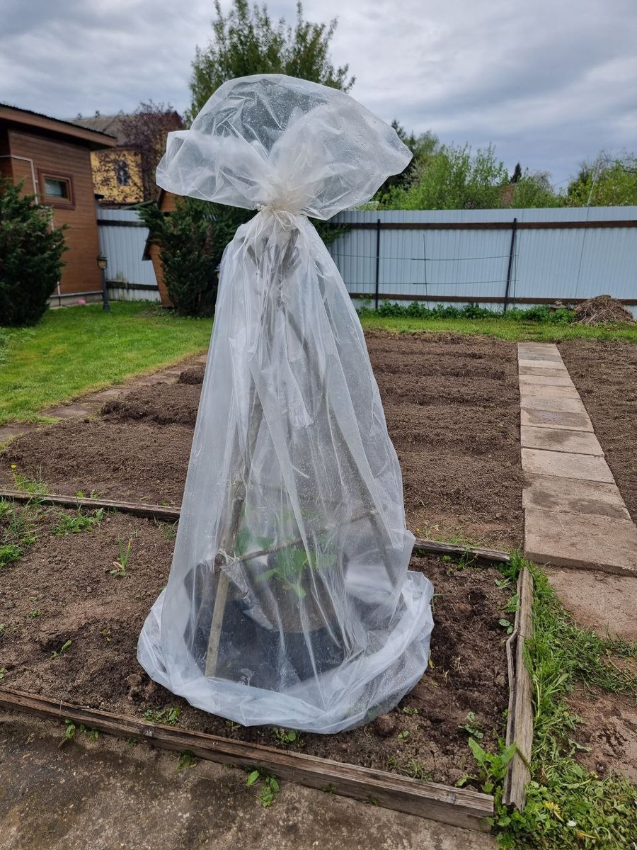 Маришкино хозяйство