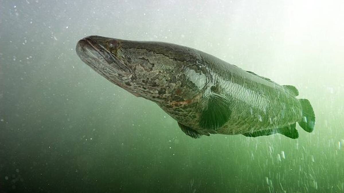    Фото: Shutterstock