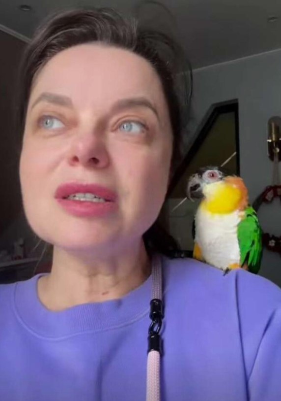 Фото из открытых источников