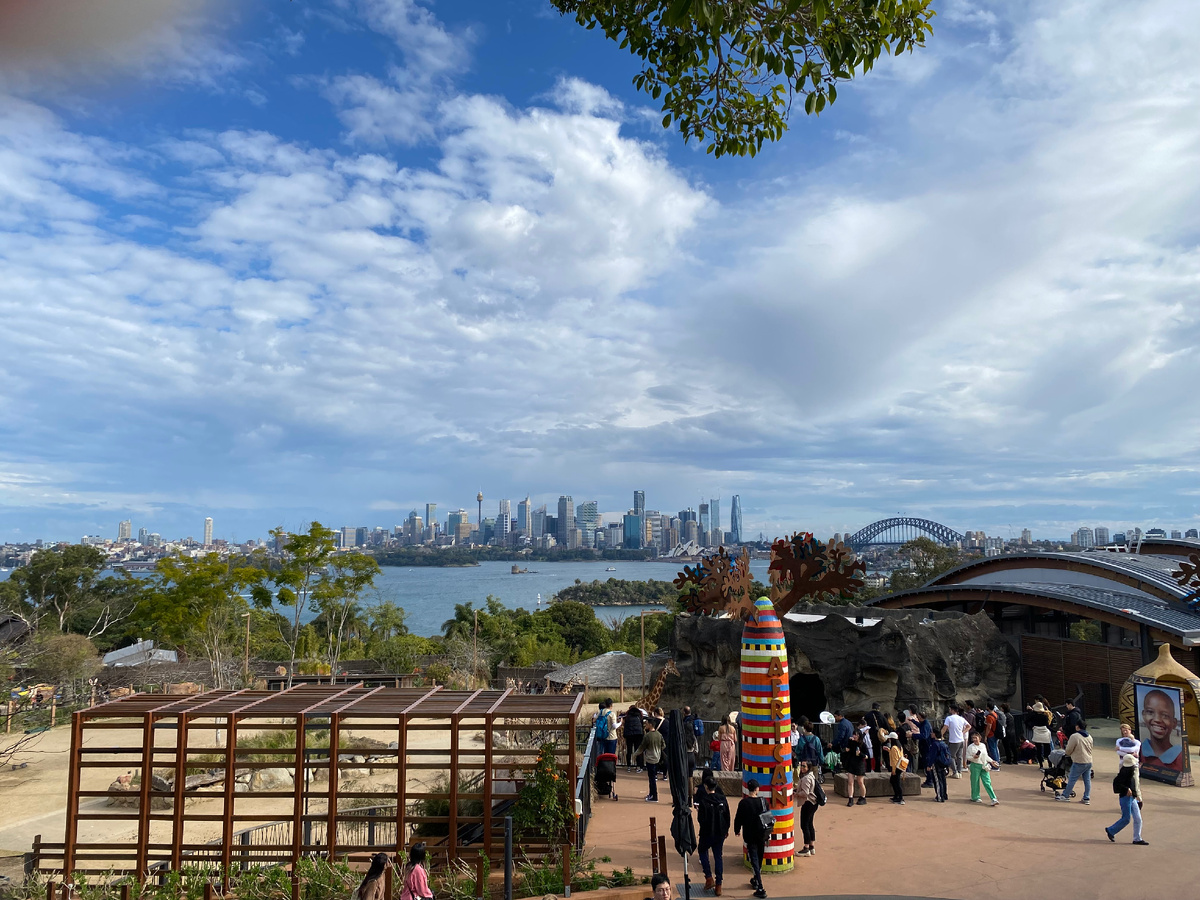 Жирафы с видом на Сиднейскую оперу