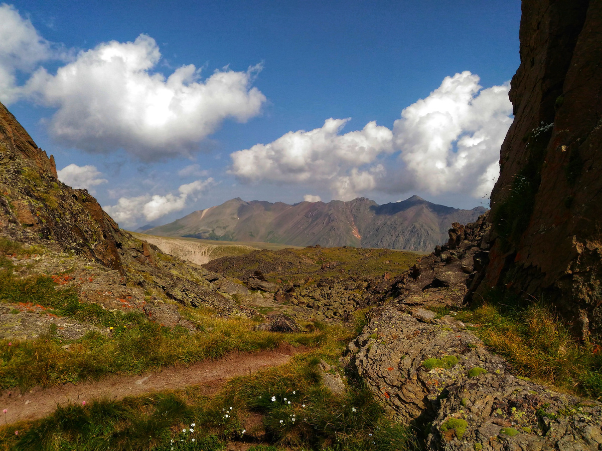 Утро того дня