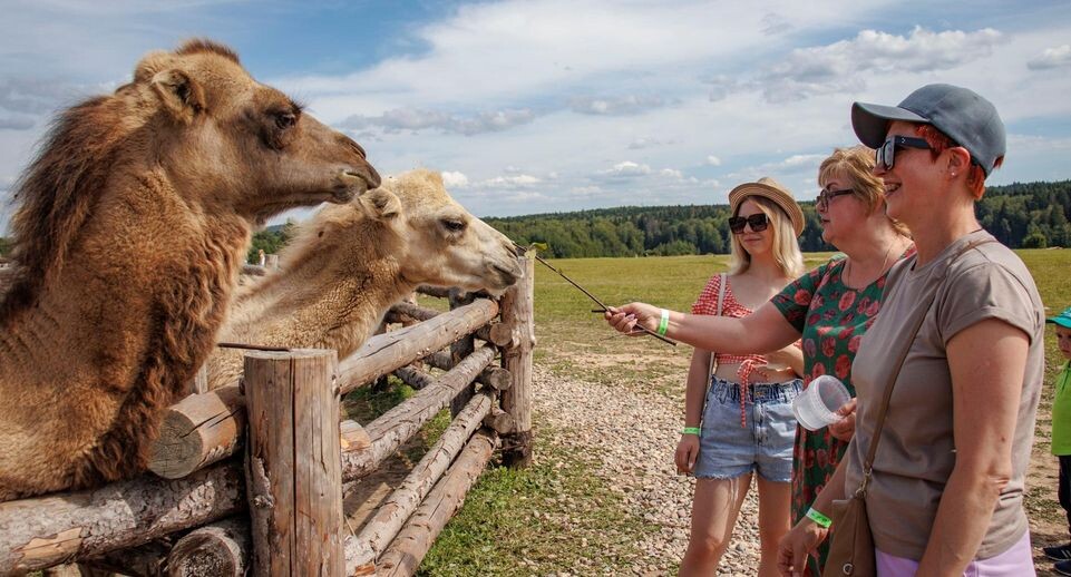    Этнопарк «Кочевник»
