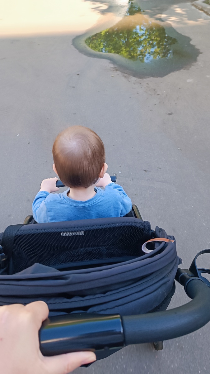 Уговорила ехать в коляске 