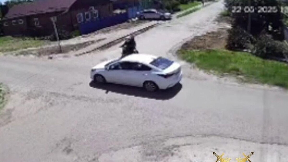    Фото: t.me/gibdd123region