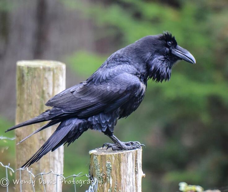 #мужскиепрофессии #мужскаяработа2025 #смелостьбытьсобой #смелыелюди #мужскойклуб