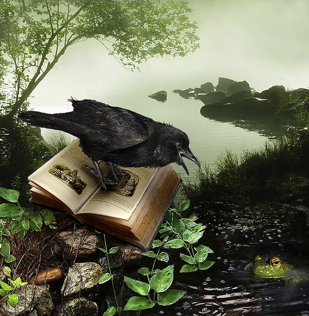 Ворона читает