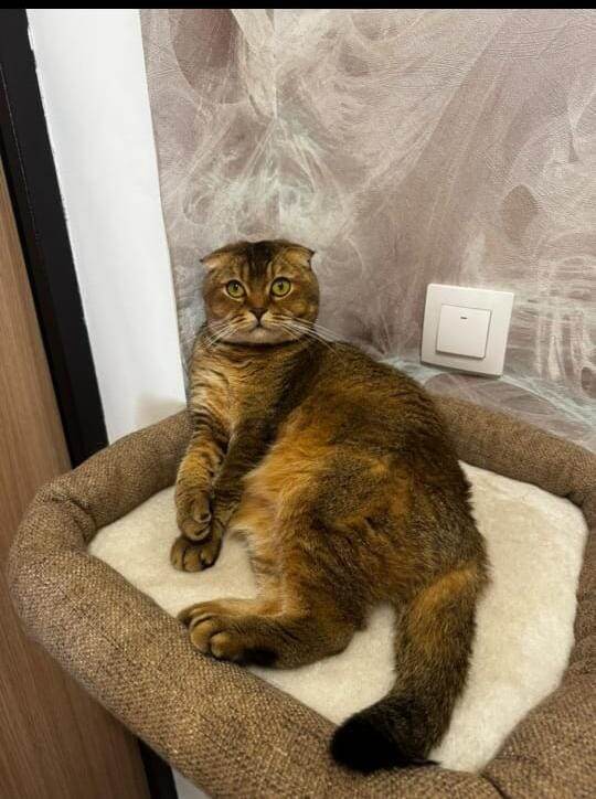 Мэй из личного апхва)