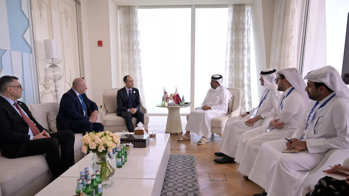 © Ministry of Economy and Sustainable Development of Georgia