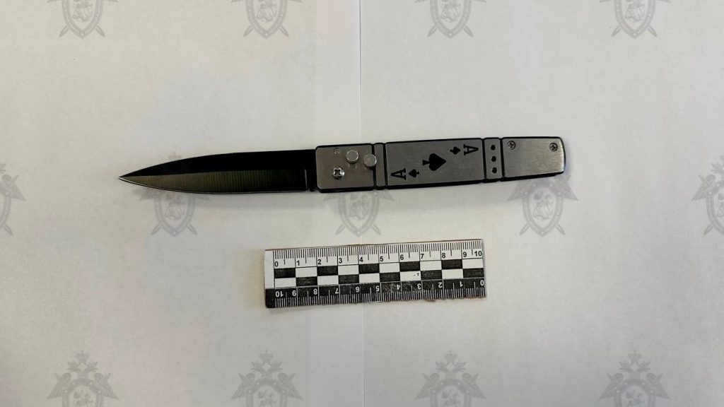    Фото: СУ СК РФ по Ростовской области Редактор