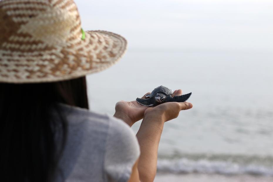    Shutterstock/FOTODOM