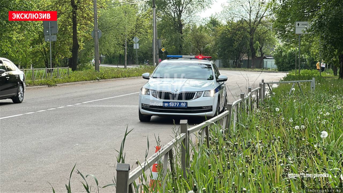 Фото здесь и далее: ПАИ