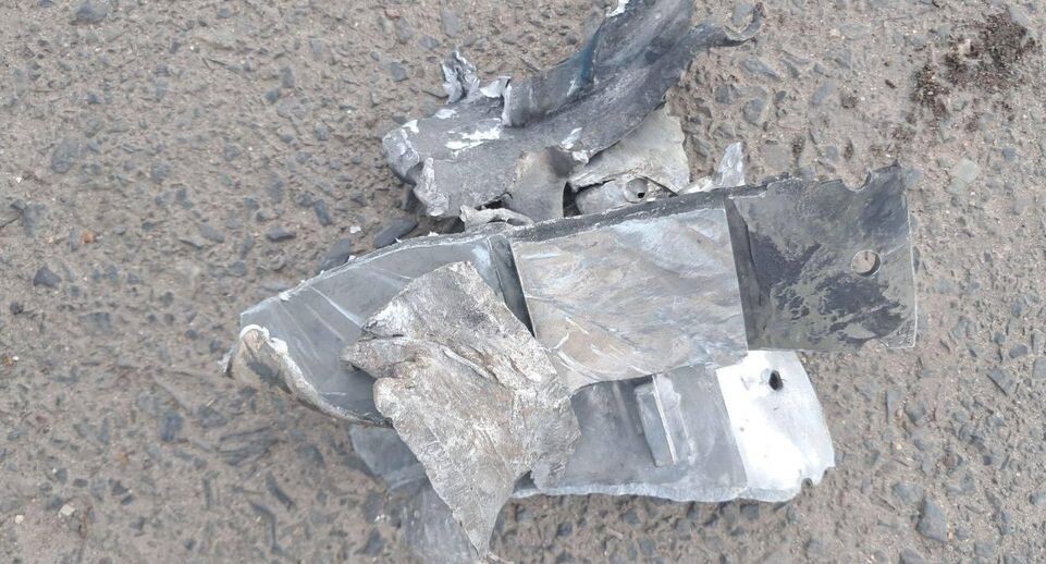    Александр Хинштейн / Telegram