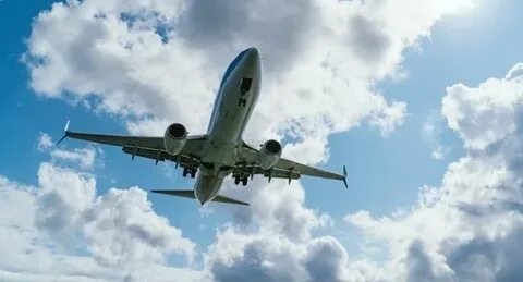 Фотографии взяты из открытых источников