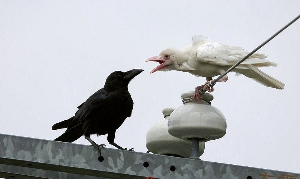 #воспитаниесына #современныйотец #крутойпапа #мужскаяпсихология #хочубытьотцом