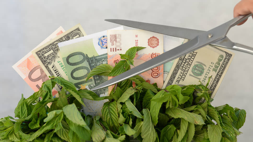 Фото: Олег Харсеев / Коммерсантъ