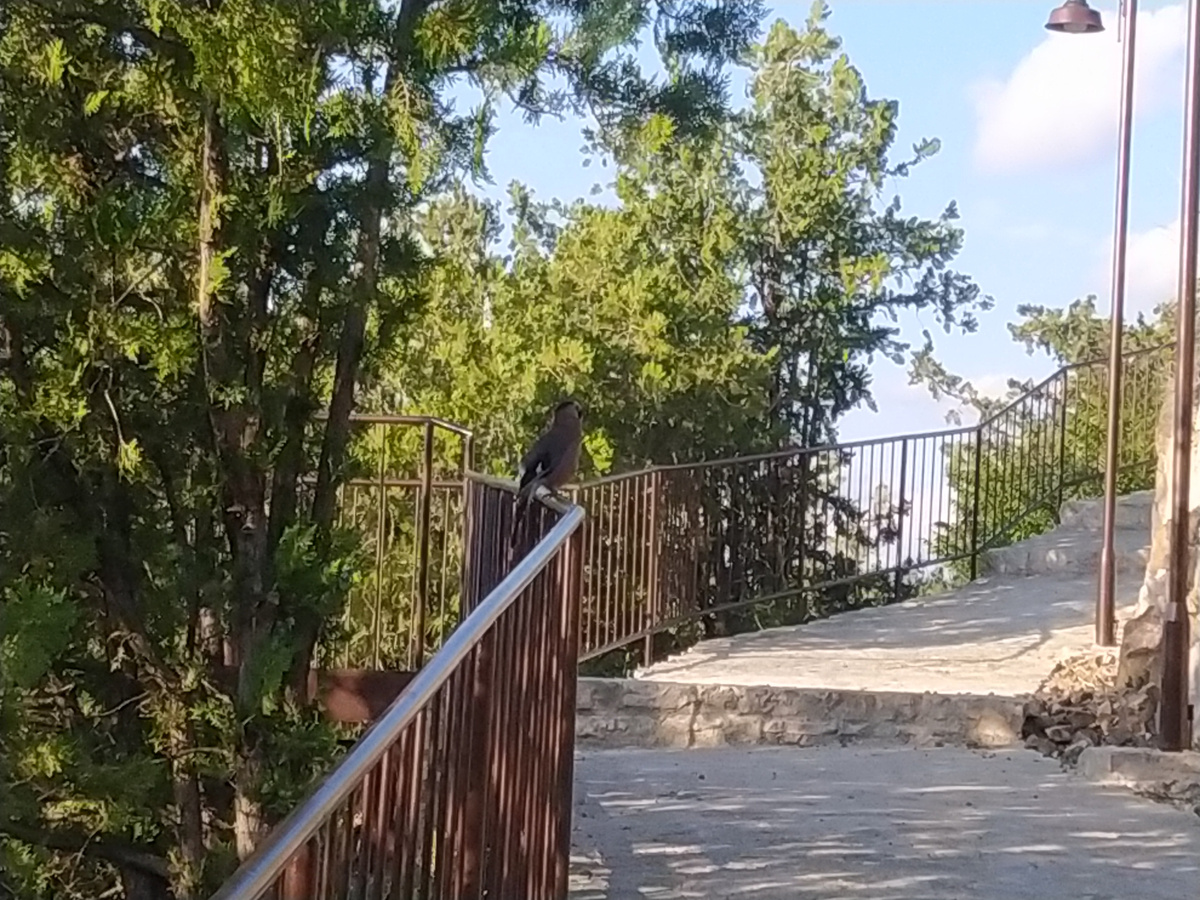 Дорога к смотровой площадке Преображенского монастыря в Тбилиси