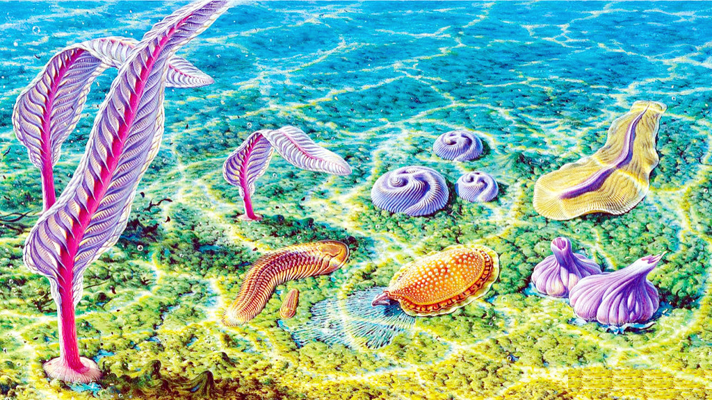 Докембрийская живность вообще вся была очень странная.