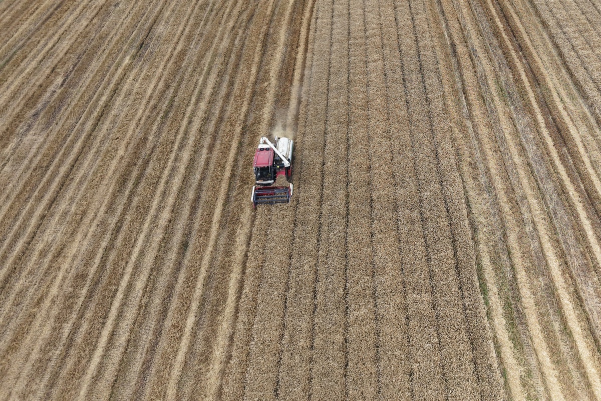     / Gettyimages.ru / Costfoto / NurPhoto