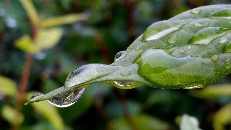 Фото: @EyeEm / freepik.com