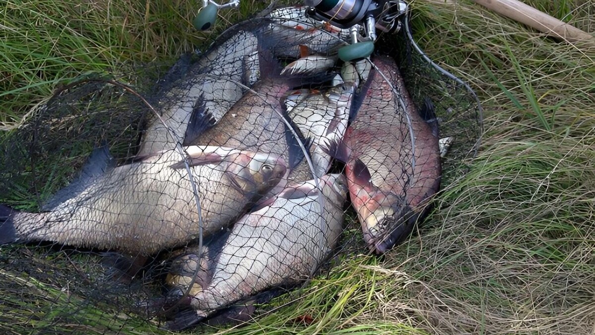     Источник: freepik.com