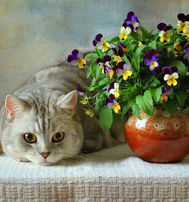 Фото из открытых источников