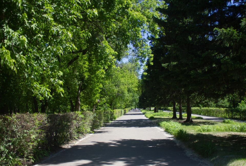    Жара. Лето. Погода. Источник: Виталий Барабаш