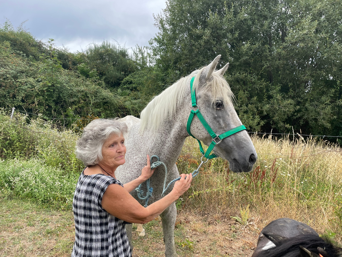 Хозяйка вместе со своей Фурией (которая теперь Пекас)