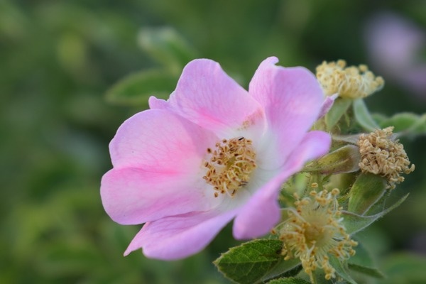    Фото Елены Врублевской Ольга Дмитриенко