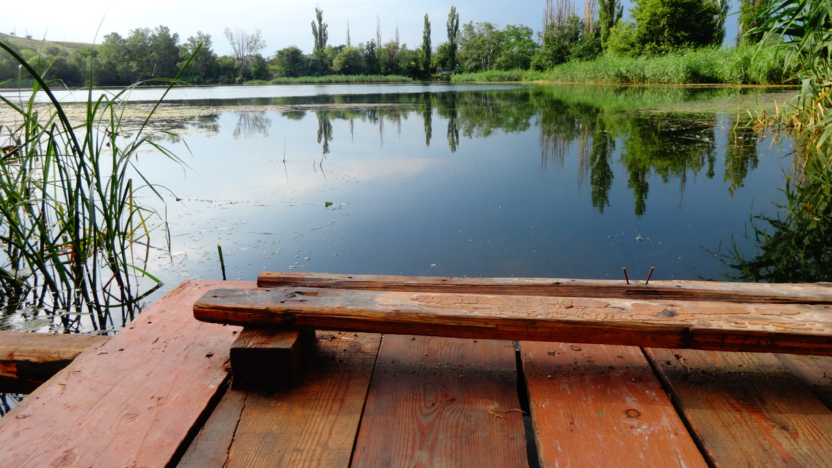 Фото автора.