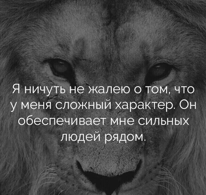 Яндекс картинки