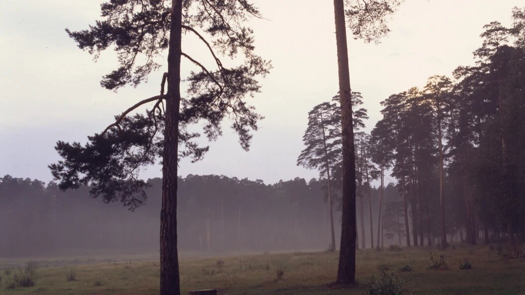    Evgeniy Kanaev/Russian Look/Globallookpress