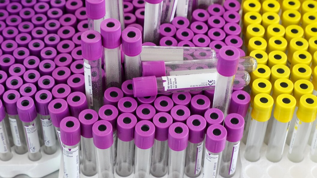    Фото: Petrov Sergey/news.ru/Globallookpress