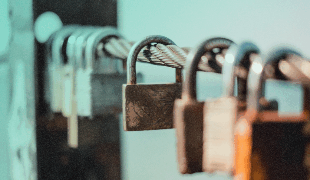    Источник: www.elastic.co