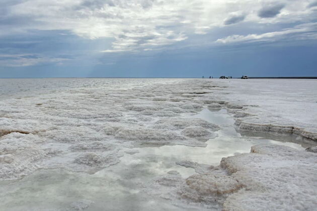 Бурлинское озеро. Источник: https://tripse.ru/