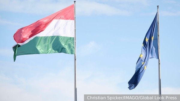     Фото: Christian Spicker/IMAGO/Global Look Press   
 Текст: Антон Антонов