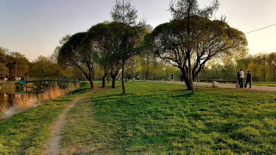    Фото: Олег Рукавицын/Царьград