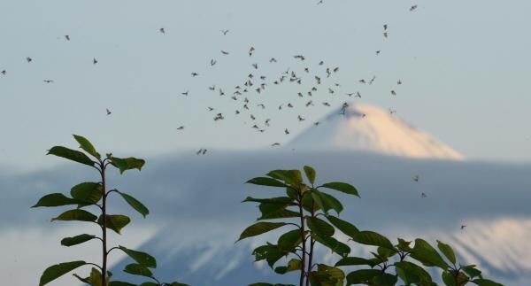    РИА «Новости»