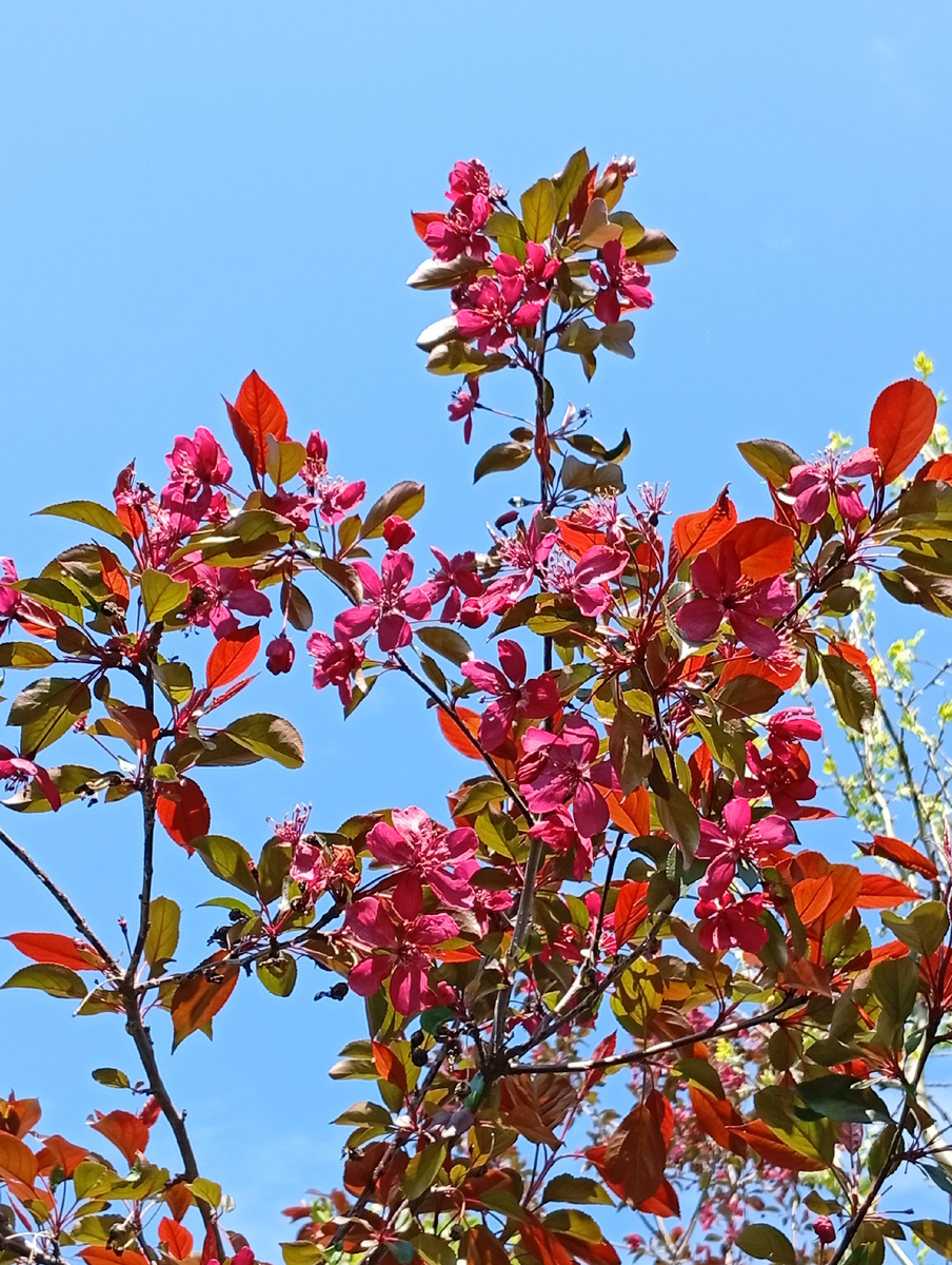 Фото из личого архива