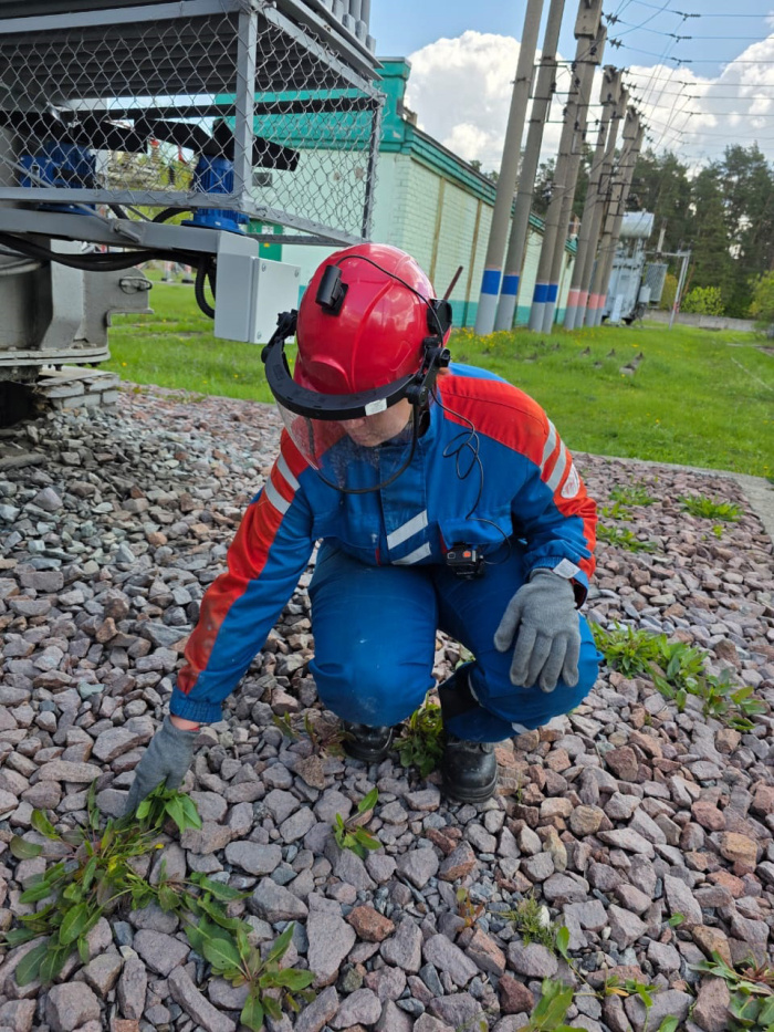    Игорь Коняев