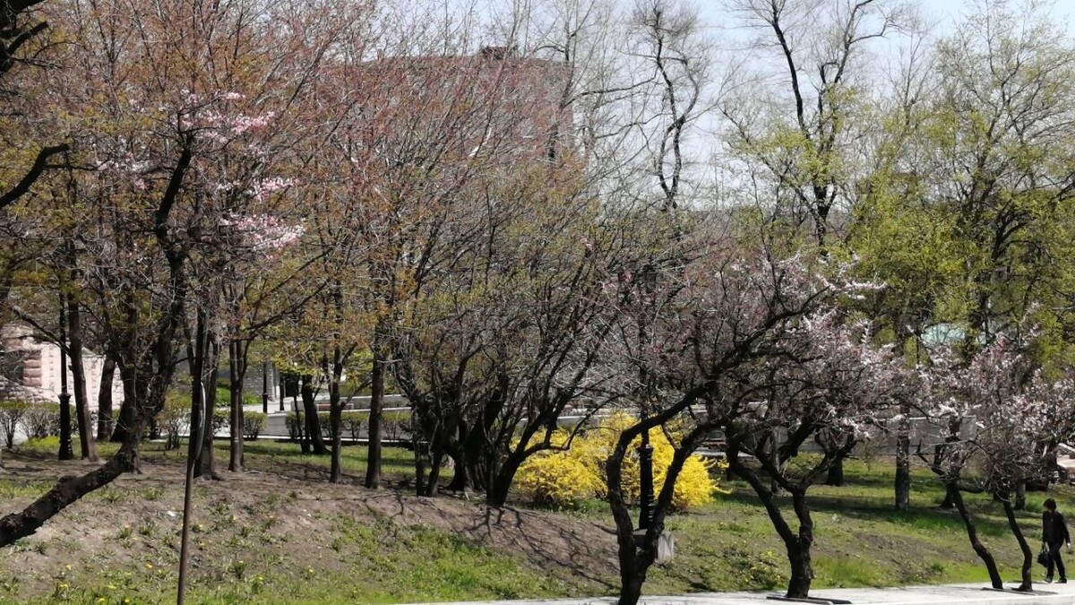     Источник: vostokmedia.com