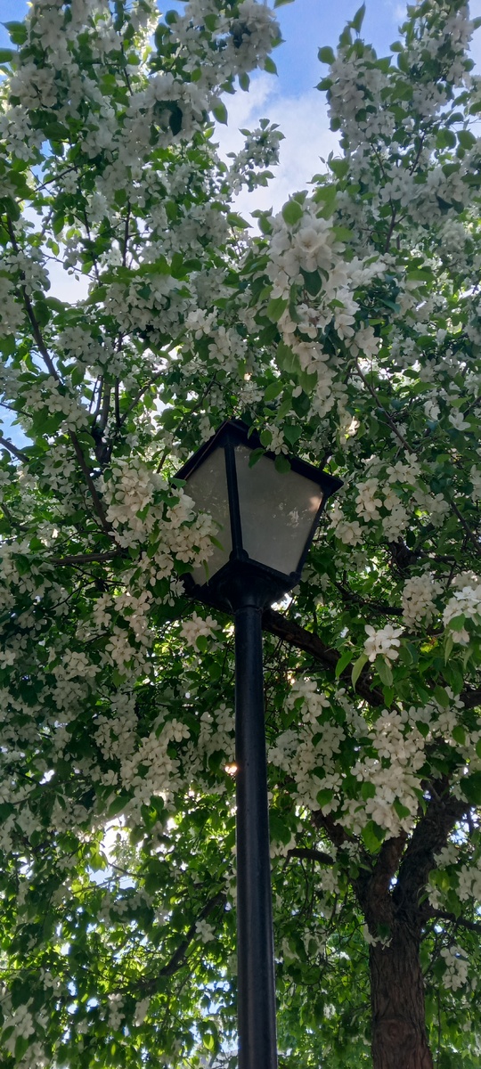 Немного другой фонарь)) для разнообразия)