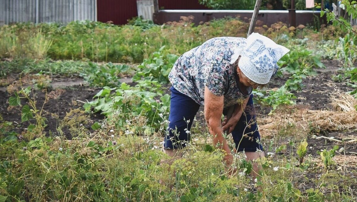     Источник: 1MI