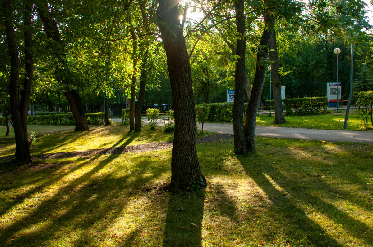 Погода будет солнечной.  Фото: Фото: ФедералПресс / Светлана Возмилова